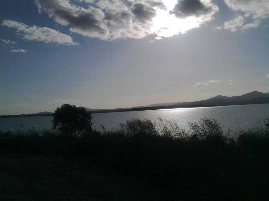 Apartamento Rincon Del Salvador 2 プラセンシア エクステリア 写真